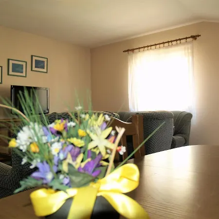 Aniica Apartment *