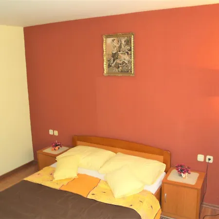 Apartment Aniica