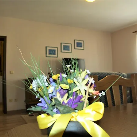Apartment Aniica